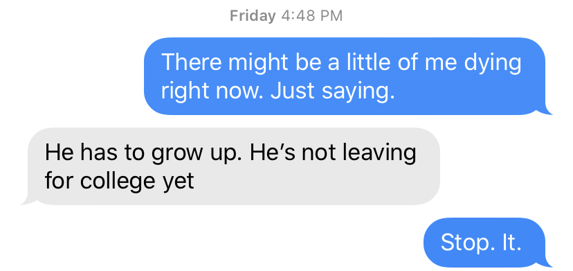Text Between Parents About Train Ride