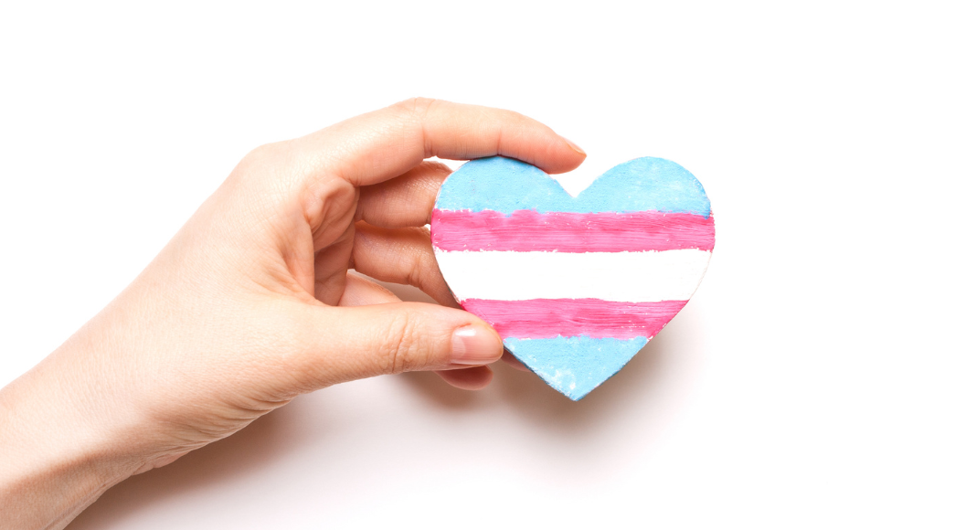 A hand holding a transgender heart.