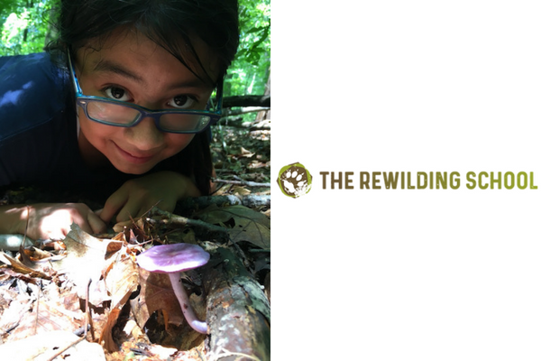 The Rewilding School